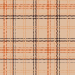 Light Coral Earth Simple Preppy Fall Autumnal Plaid