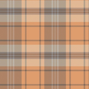 Fallen Leaves Traditional Preppy Fall Autumnal Plaid