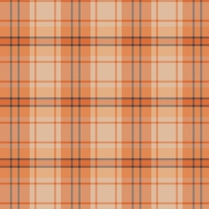 Light Coral Earth Traditional Preppy Fall Autumnal Plaid