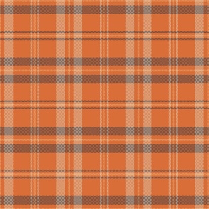 Coral Earth Layered Detailed Fall Autumnal Plaid