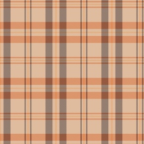 Light Coral Earth Layered Detailed Fall Autumnal Plaid