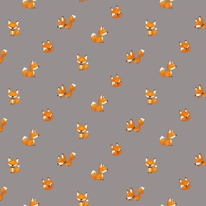 Cute baby fox on gray background-small scale