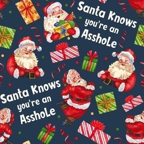 Medium Scale Santa Knows You're an Asshole Sarcastic Christmas on Navy