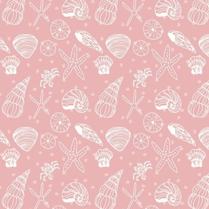 shells pink