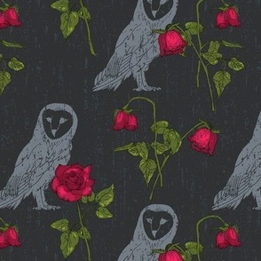 Midnight Owl and Forgotten Roses