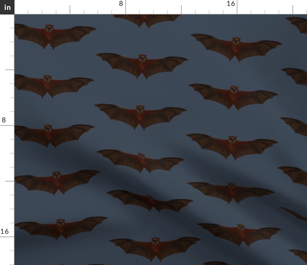 Flying Fox Bats by Night