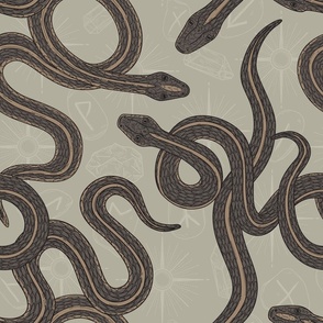 Coiled Snakes on Spooky Fortune Telling Background in Taupe