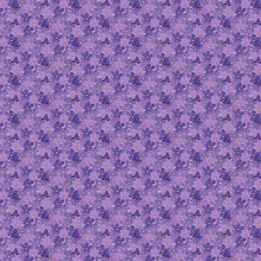 Aromatherapy-LavenderBlossoms-Lavender-S