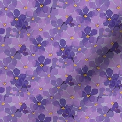 Aromatherapy-LavenderBlossoms-Lavender-M