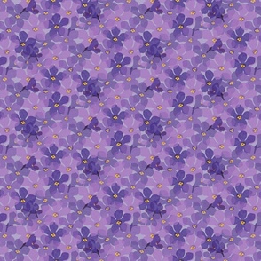 Aromatherapy-LavenderBlossoms-Lavender-L