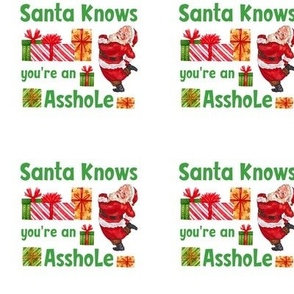 3" Panel on 4.5" Swatch Santa Knows You're an Asshole Sarcastic Christmas on White for Quilt Squares Craft Projects Potholders