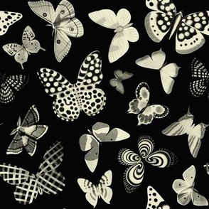 Illustrated butterflies black & cream