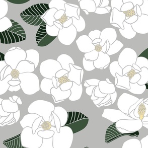 large - white magnolia blooms on grey