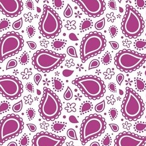 Small Scale Playful Paisley Bandana Buttercup Berry Pink on White