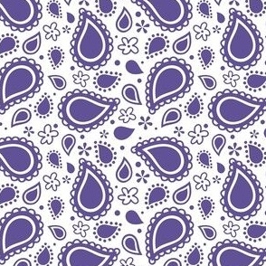 Small Scale Playful Paisley Bandana Buttercup Grape Purple on White