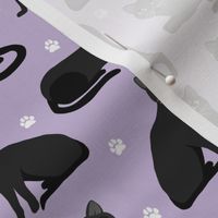 Black Cats and Paws Purple
