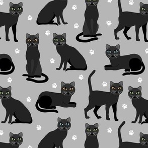 Black Cats and Paws Gray