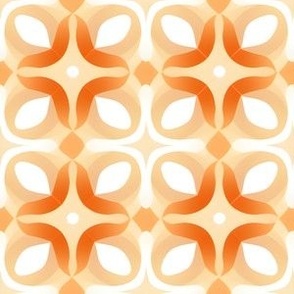 Orange & White Motifs