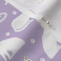 White Cats and Paws Purple