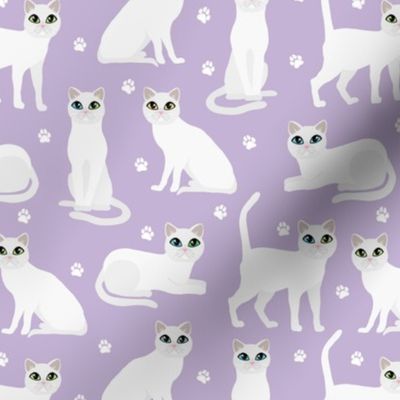 White Cats and Paws Purple