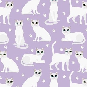 White Cats and Paws Purple
