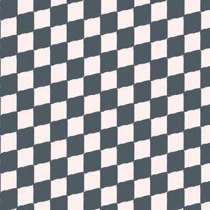 Diagonal Racing Flag Checkers in Black and White