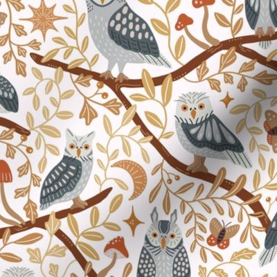 Nocturnals birds of prey from Spain - light background - cute owls, branches and leaves in the fall woodlands