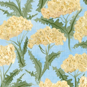 Watercolor Wild Yarrow Wildflowers -  Large Scale - Blue Linen background - Flower Botanical Flora Meadow Native Plant