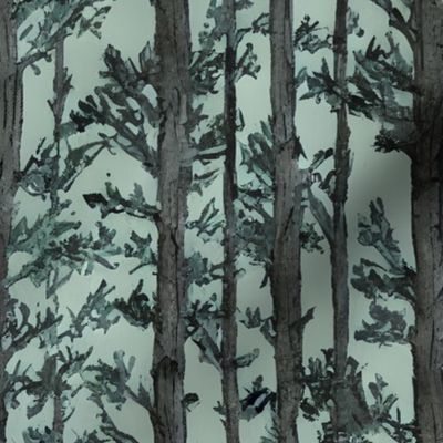 content fairytale forest: forest wallpaper, whimsical forest, oversized trees, foraged, rustic