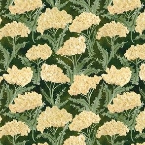 Watercolor Wild Yarrow Wildflowers -  Ditsy Scale - Dark green background - Flower Botanical Flora Meadow Native Plant Nursery Baby Wedding Cabincore