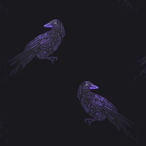Undercover Crows