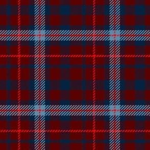 Regal Red and Blue Cabincore Plaid