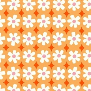 M - Daisy Chains - orange