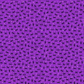 black cats on purple grunge 