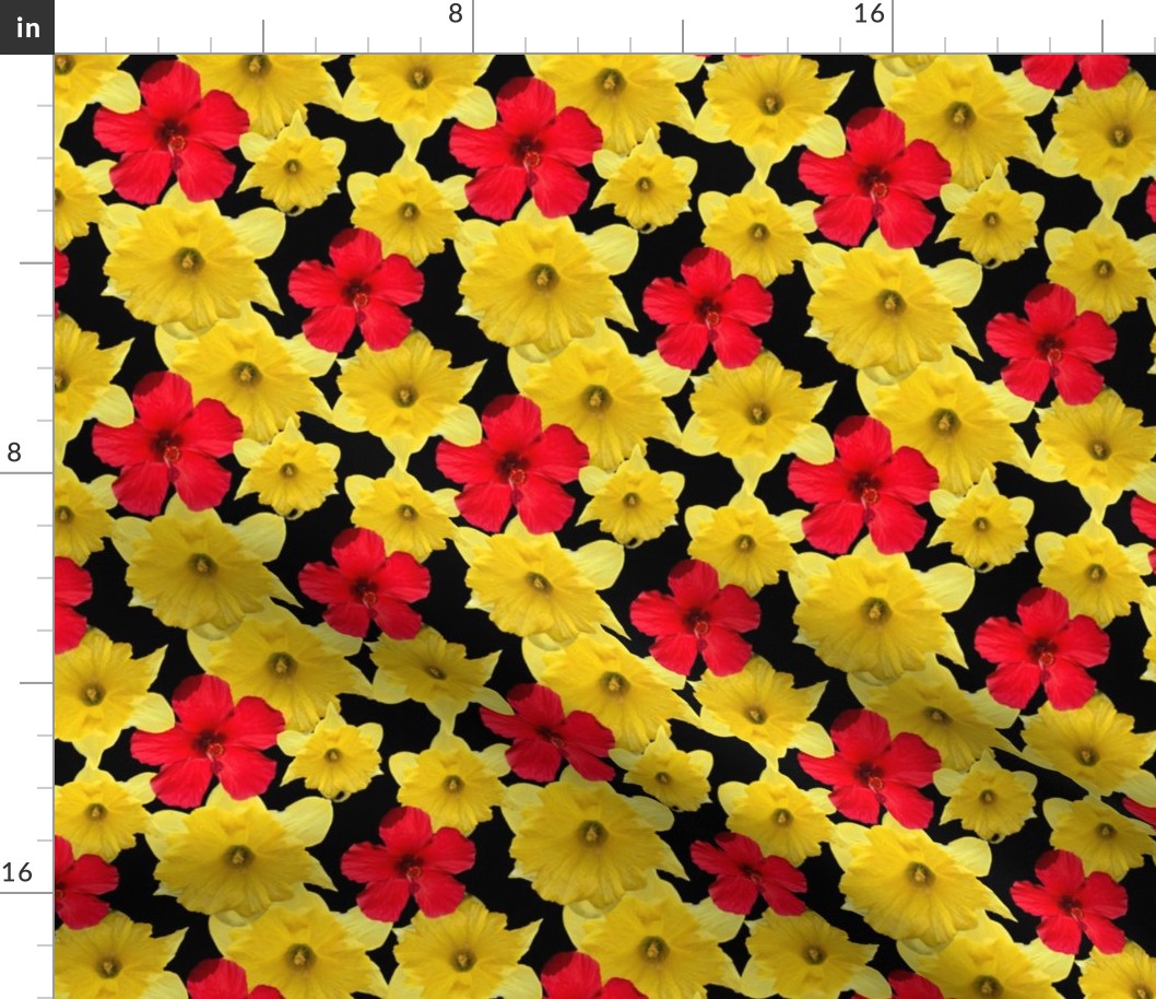 Red and Yellow Flowers Photography with Black Background