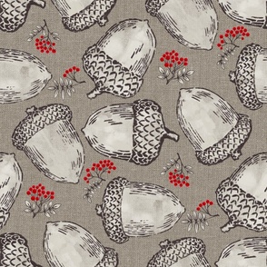 acorns and rowan berries on warm gray | large