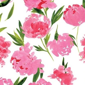 Watercolour Pink Peony Floral Flower Hot Pink Candy Pink Peonies Blooms White