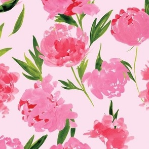 Watercolour Pink Peony Flower Hot Pink Candy Pink Peonies Bloom