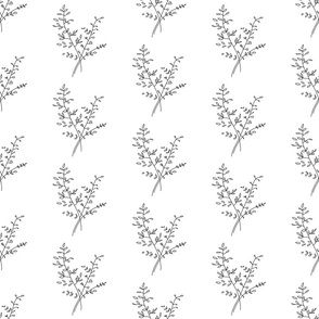 Black and White Line-Drawn Scandi Grasses on White