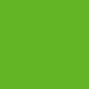 Paradise Green 2031-20 63b525 Solid Color