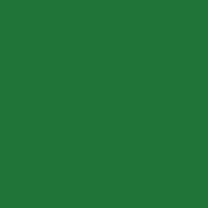 Clover Green 2034-10 217438 Solid Color