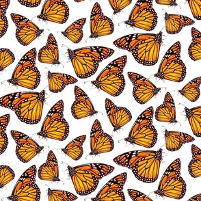 Hand Drawn Monarch Butterflies in Medium Scale on White
