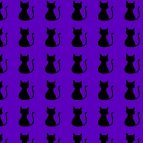 Black cat purple