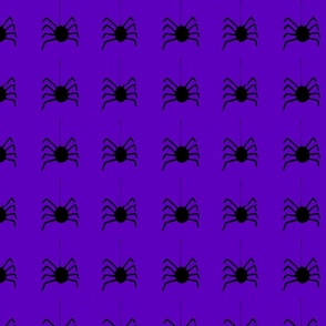 Spider purple