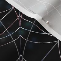 Spider Web & Galaxy Droplets