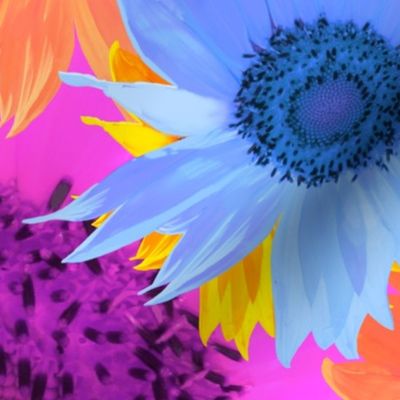 Colorful Sunflower Explosion Photography / Large Scale / Floral Photography / Sunflower Photography