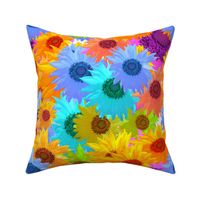 Colorful Sunflower Explosion Photography on White Background
