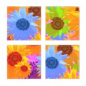 Colorful Sunflower Explosion Photography \ Yellow Background