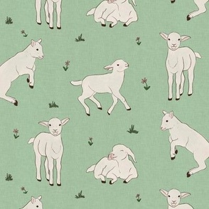 Little lambs on mint green with little flowers  with linen texture