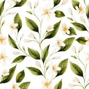 White watercolor elegant citrus flower, tropical summer